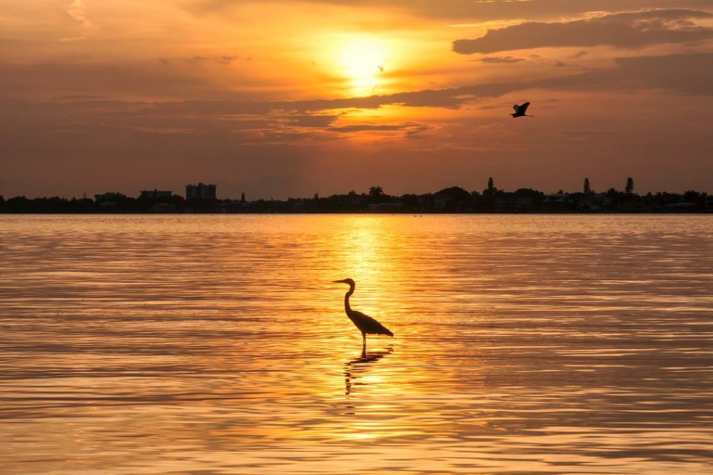 Siesta Beach - Siesta Key - Florida